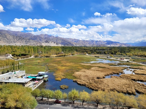 Thrilling Leh Ladakh Tour with
                                 Pangong Lake